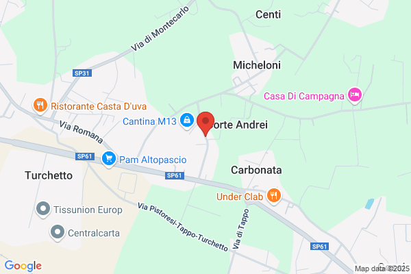 Minicozzi pasquale