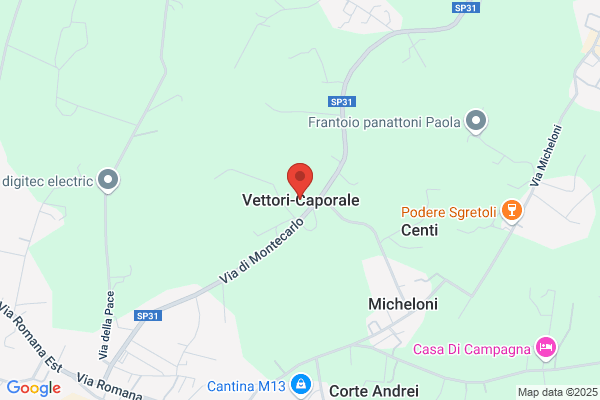 Vettori angelo