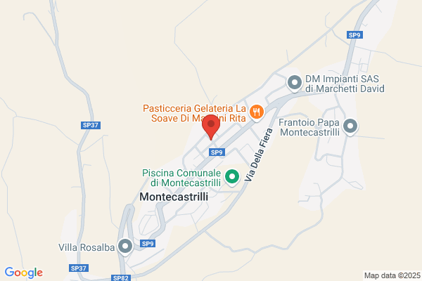 Villa delle Palme