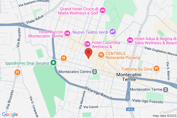 S.T.A. Srl Services Tours Arrangements