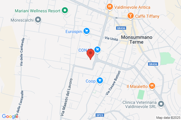 Istituto Specialistico Formazione e Lavoro