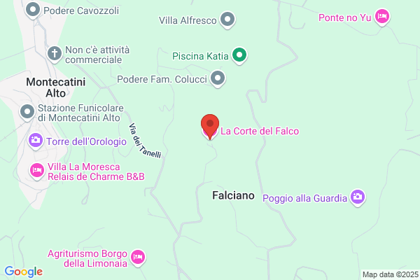 Falco Antonio