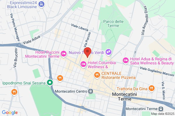 CENTRO SALUTE MONTECATINI SRL
