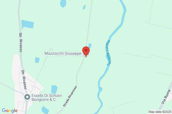 Mazzocchi giuseppe