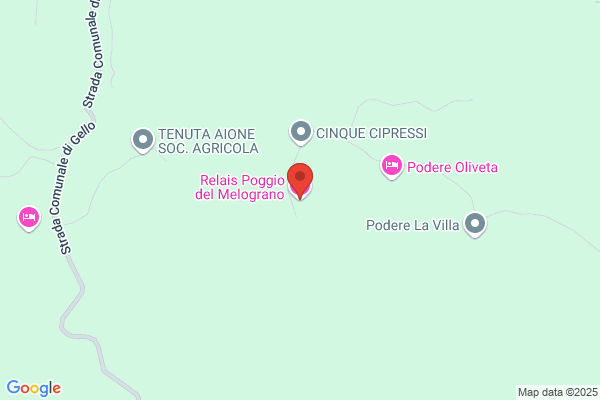Il Melograno Di Pacini Michela