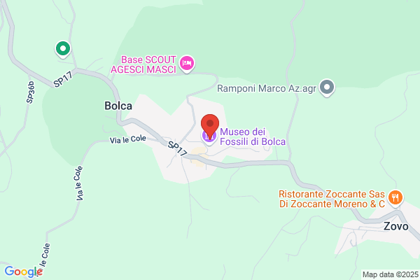 Wellness Hotel Ristorante Pizzeria Baita Cerato