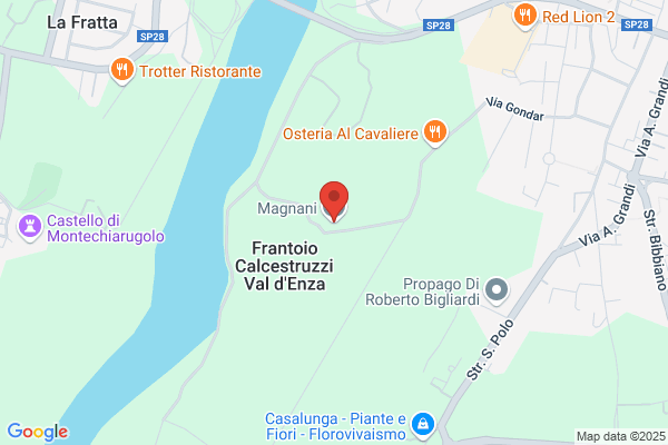 Magnani fausto