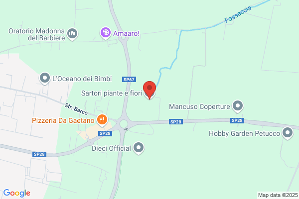 Fossi Arrigo