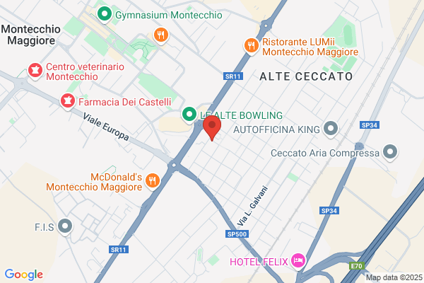 Effesei S.R.L.