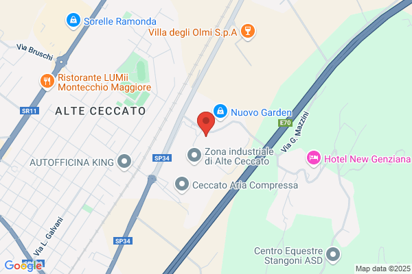 Elte