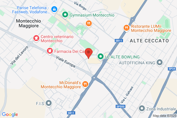 Studio Consulenti Aziendali Associati Srl