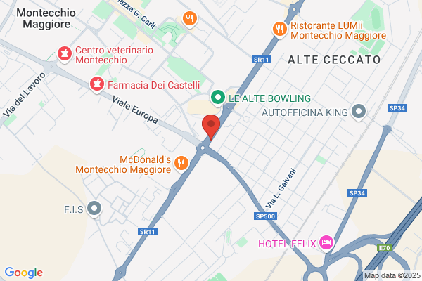ArteinOro SAS