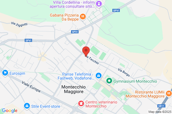 Opificio Grafico Veneto