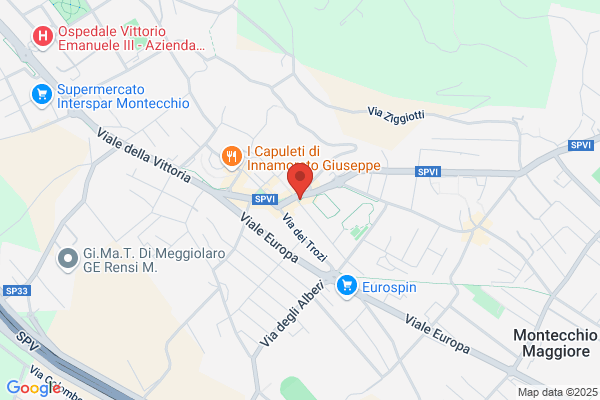 Sindacato Territoriale Pensionati - Cisl Vicenza