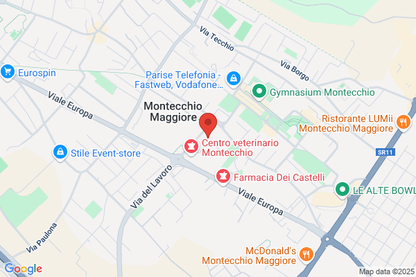 Studio Associato Di Nuove Strategie Di Gestione & comunicazione S.R.L.