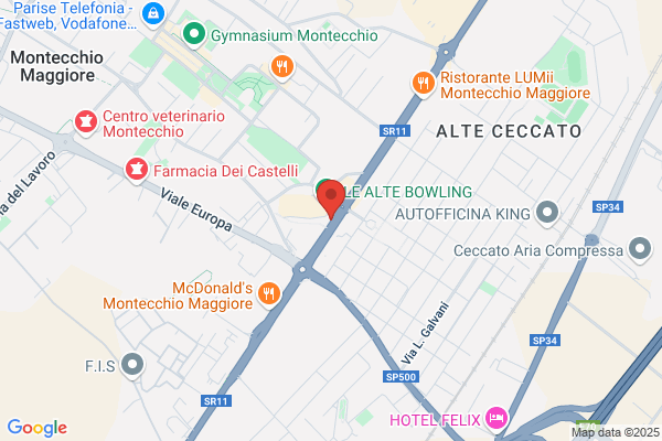 Sicurex Srl