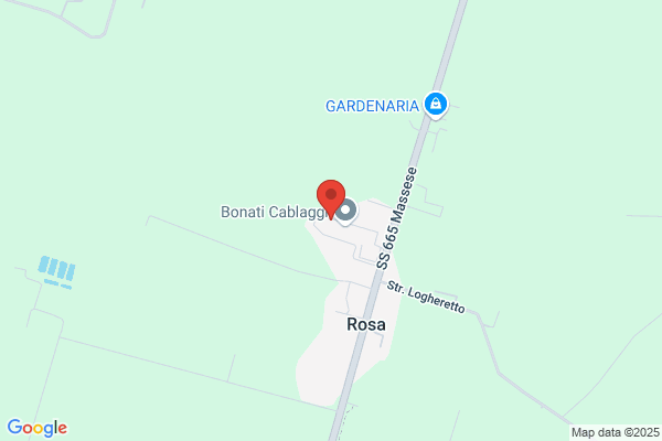 Tognetti roberto