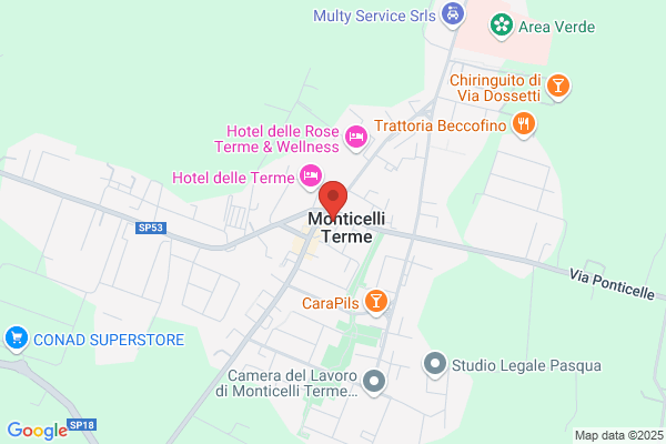 Zanichelli monica