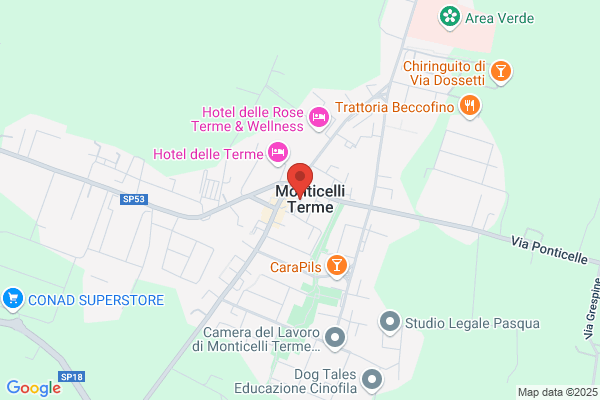 C.O.F. Consorzio Onoranze Funebri Parmense Ag.  Arduini