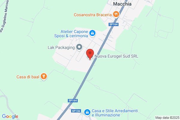 Nuova Eurogel Sud S.R.L.