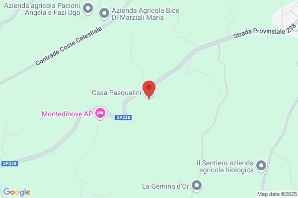 Pasqualini edvige
