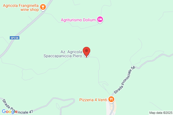 Spaccapaniccia pasquale