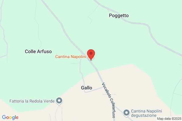 Napolini matteo