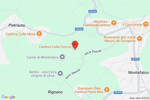 Petruccioli oreste