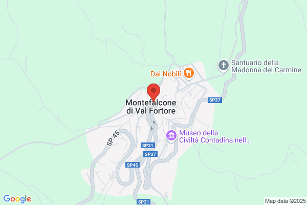 Minelli michele
