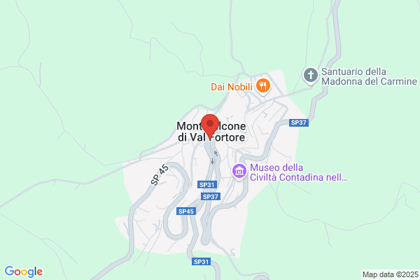 Puzio adelchi (Dr.)