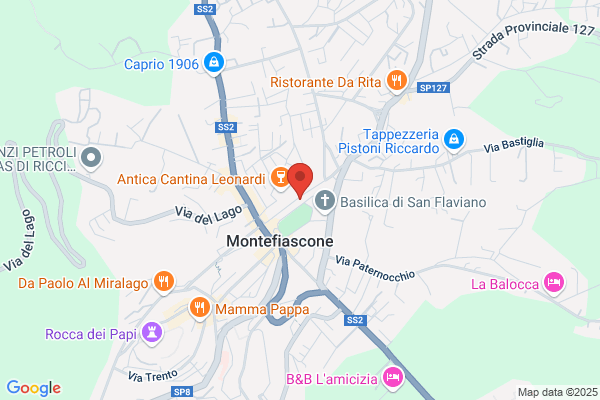 Salviani massimo
