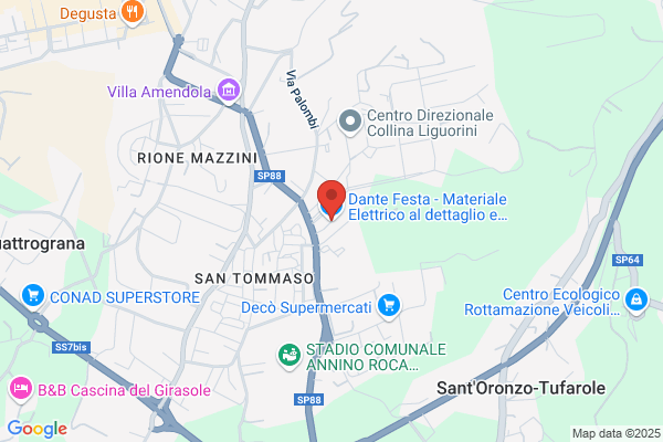 Festa Dante