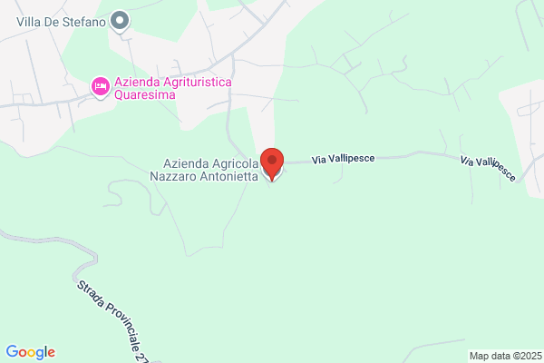 Nazzaro gerardo