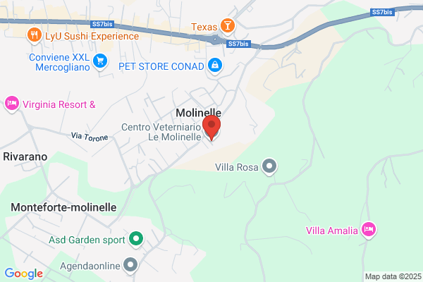 Ospedale Veterinario Cmc Srl