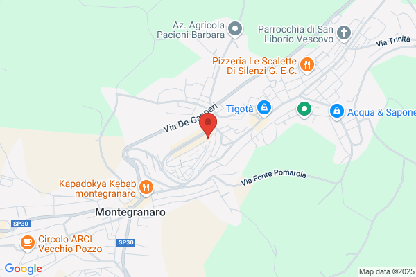 Mancini barbara