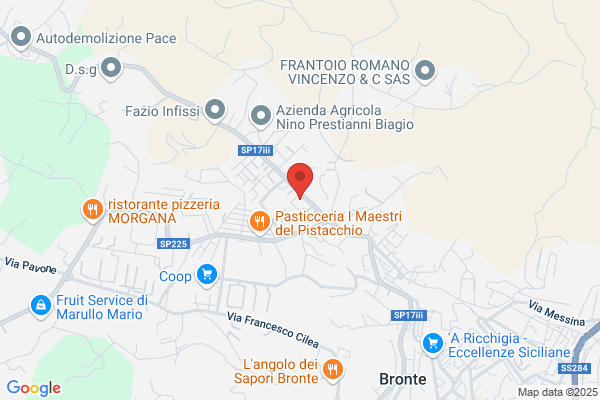 X Bacco Srl