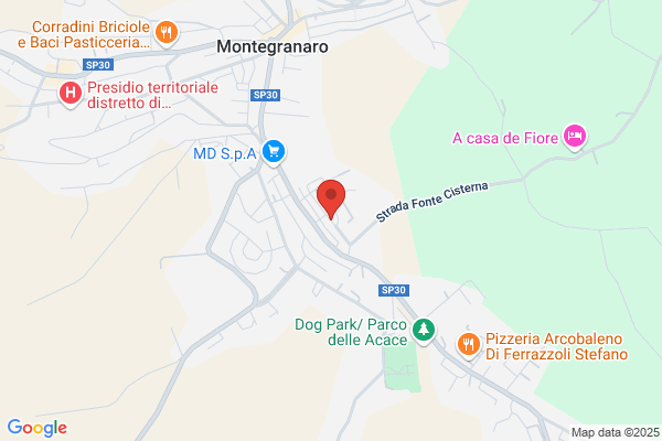 Impresa Vettore Srl