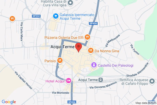 Aleramo Viaggi Di Lizzi Luigi Sas