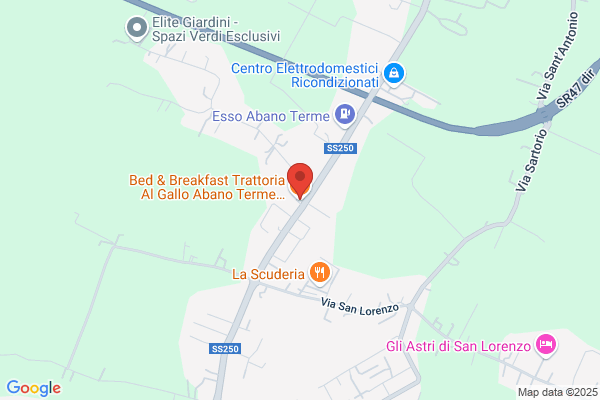 Gallo Antonio
