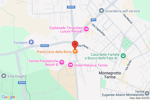 Salone Saval