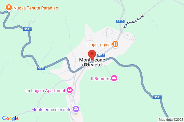 Manieri ennio
