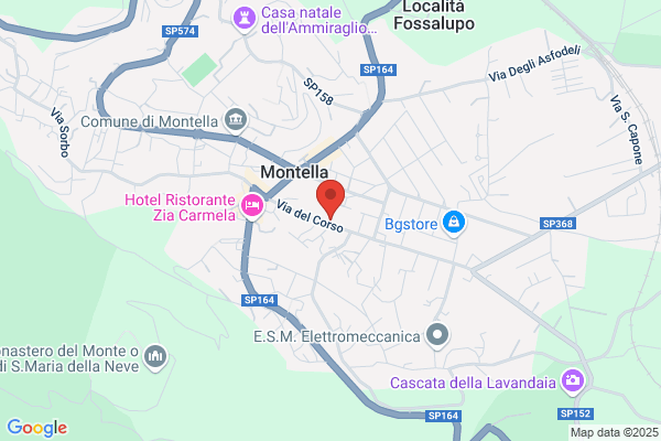Abbigliamento Volpe Aurora