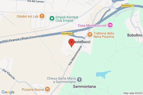Taccetti Srl