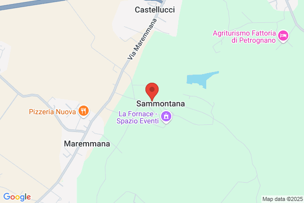 Fattoria Di Sammontana