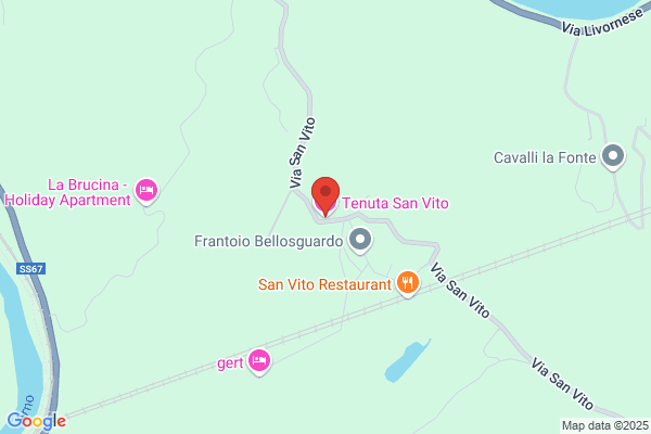 Tenuta Di San Vito In Fior Di Selva Di Drighi roberto