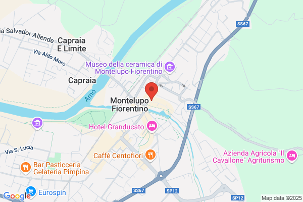Artisti Fiorentini Di Tani Niccolo'