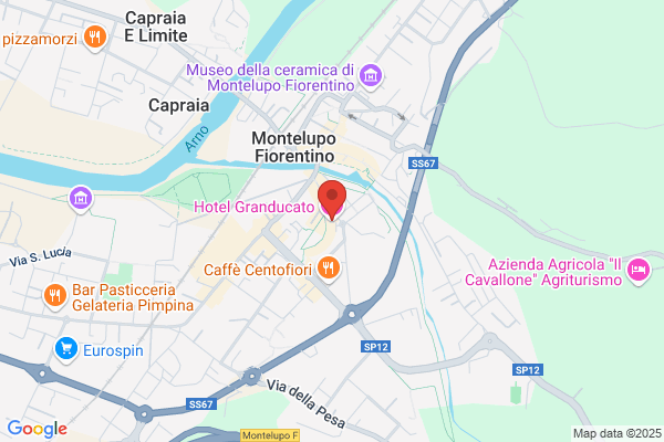 Hotel Granducato