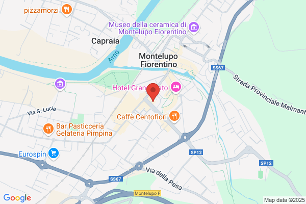 Tofani carlo