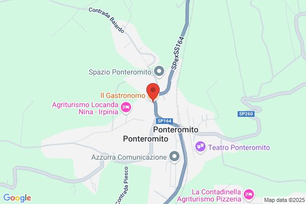 Il Gastronomo