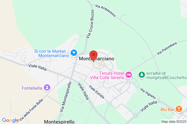 Gruppo Molon Italia S.P.A.